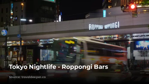 Tokyo Nightlife - Roppongi Bars