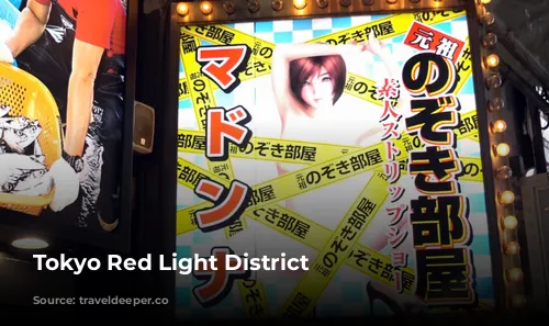 Tokyo Red Light District