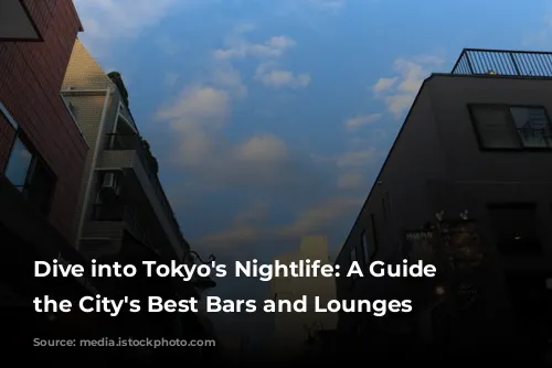 Dive into Tokyo's Nightlife: A Guide to the City's Best Bars and Lounges