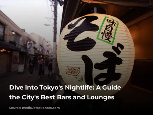 Dive into Tokyo's Nightlife: A Guide to the City's Best Bars and Lounges