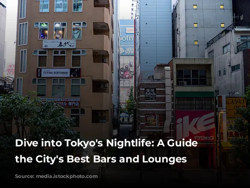 Dive into Tokyo's Nightlife: A Guide to the City's Best Bars and Lounges