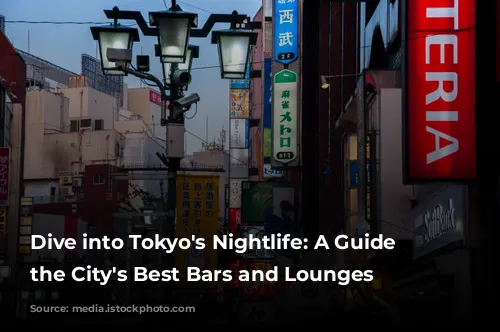 Dive into Tokyo's Nightlife: A Guide to the City's Best Bars and Lounges