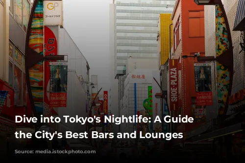 Dive into Tokyo's Nightlife: A Guide to the City's Best Bars and Lounges