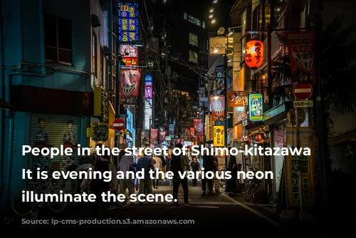 People in the street of Shimo-kitazawa district. It is evening and the various neon lights illuminate the scene.