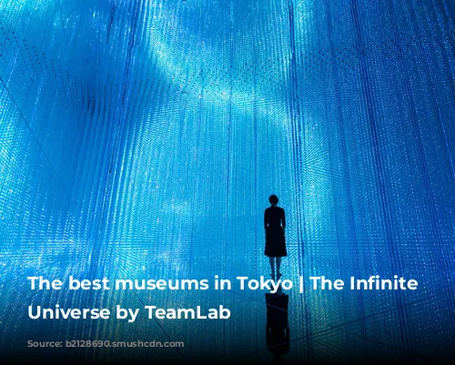 The best museums in Tokyo | The Infinite Crystal Universe by TeamLab