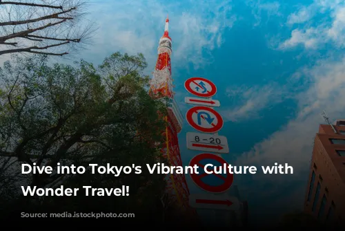 Dive into Tokyo's Vibrant Culture with Japan Wonder Travel!