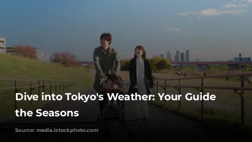 Dive into Tokyo's Weather: Your Guide to the Seasons