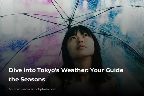 Dive into Tokyo's Weather: Your Guide to the Seasons