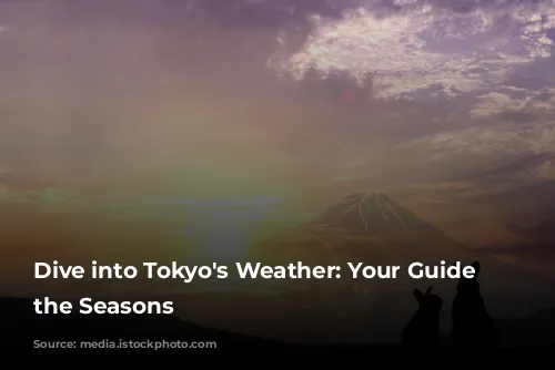 Dive into Tokyo's Weather: Your Guide to the Seasons