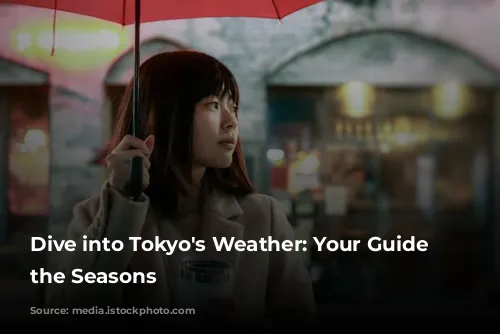 Dive into Tokyo's Weather: Your Guide to the Seasons