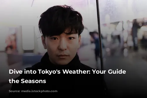 Dive into Tokyo's Weather: Your Guide to the Seasons