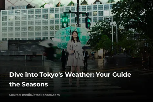 Dive into Tokyo's Weather: Your Guide to the Seasons