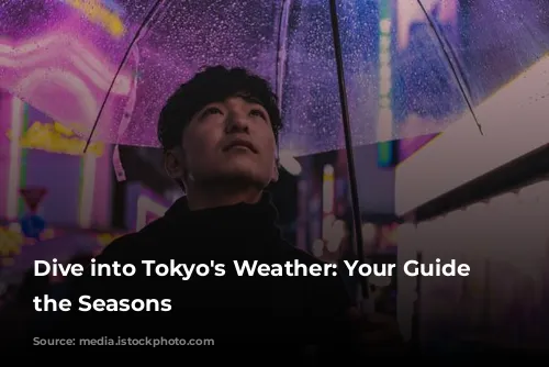 Dive into Tokyo's Weather: Your Guide to the Seasons