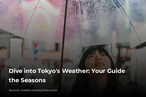 Dive into Tokyo's Weather: Your Guide to the Seasons