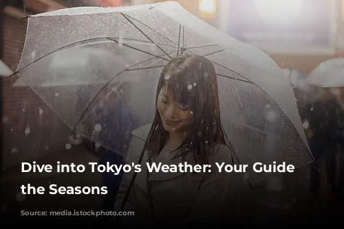 Dive into Tokyo's Weather: Your Guide to the Seasons