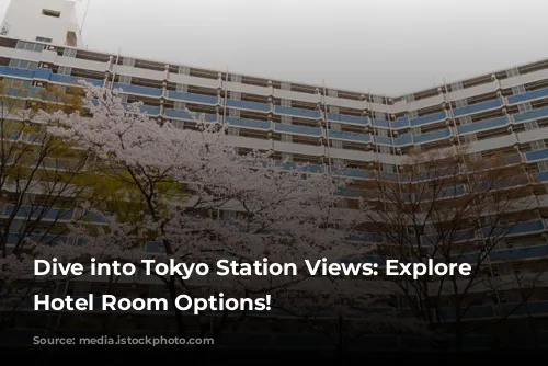 Dive into Tokyo Station Views: Explore Our Hotel Room Options!