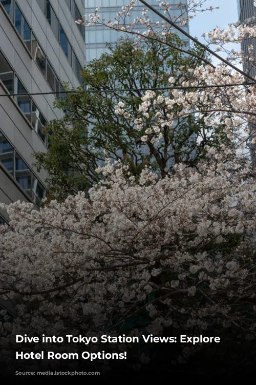 Dive into Tokyo Station Views: Explore Our Hotel Room Options!