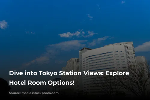 Dive into Tokyo Station Views: Explore Our Hotel Room Options!