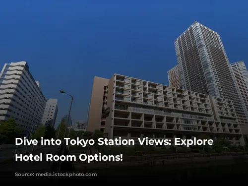 Dive into Tokyo Station Views: Explore Our Hotel Room Options!