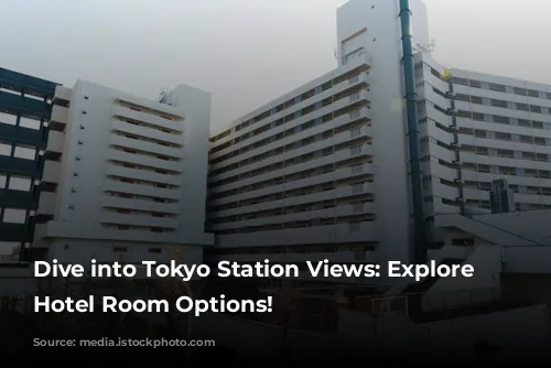 Dive into Tokyo Station Views: Explore Our Hotel Room Options!