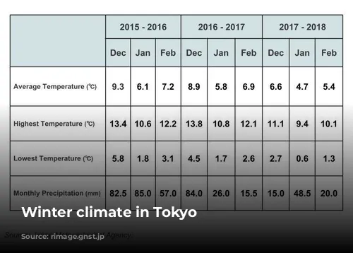 Winter climate in Tokyo