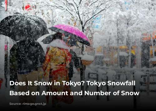 Does It Snow in Tokyo? Tokyo Snowfall Probability Based on Amount and Number of Snow Days