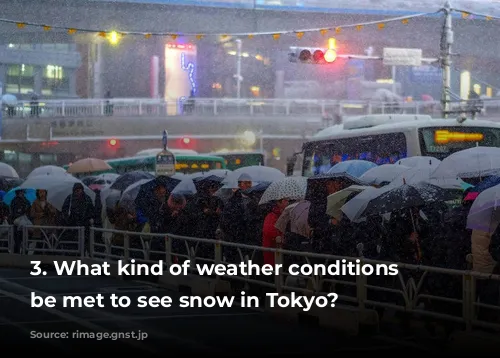 3. What kind of weather conditions must be met to see snow in Tokyo?