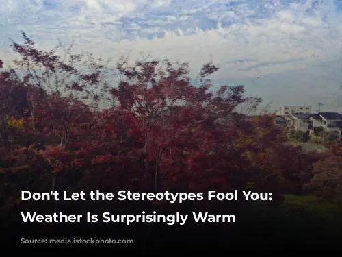 Don't Let the Stereotypes Fool You: Tokyo's Weather Is Surprisingly Warm