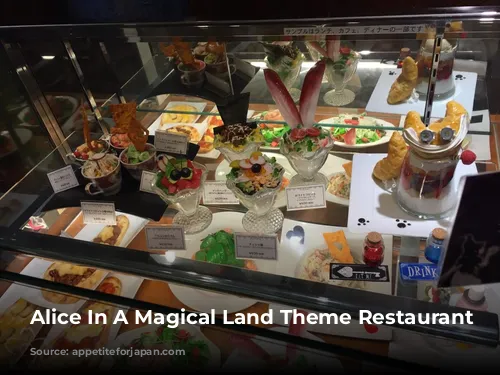 Alice In A Magical Land Theme Restaurant Shinjuku