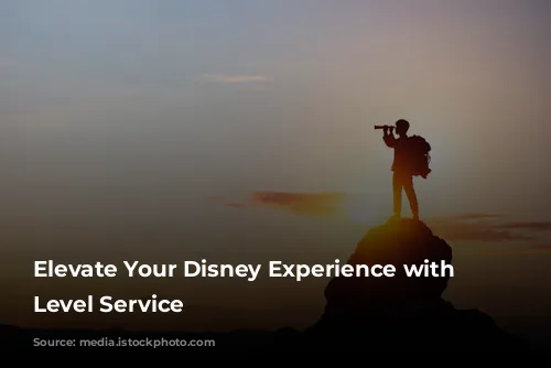 Elevate Your Disney Experience with Club Level Service