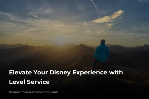 Elevate Your Disney Experience with Club Level Service