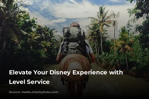 Elevate Your Disney Experience with Club Level Service