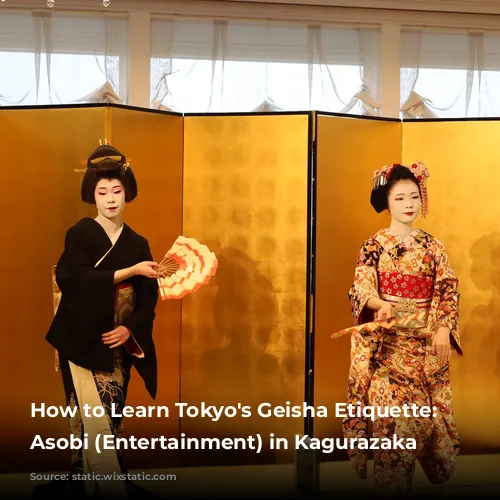 How to Learn Tokyo's Geisha Etiquette: Ozashiki Asobi (Entertainment) in Kagurazaka