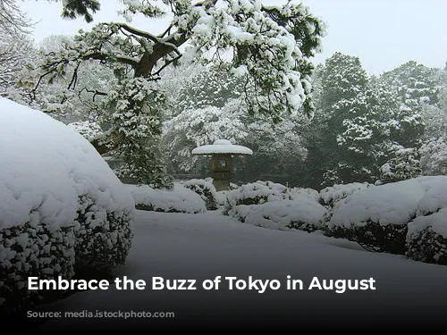 Embrace the Buzz of Tokyo in August