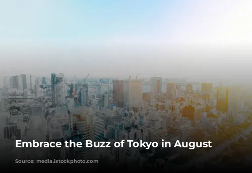 Embrace the Buzz of Tokyo in August