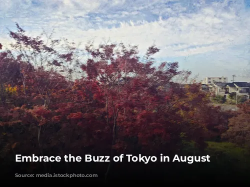 Embrace the Buzz of Tokyo in August