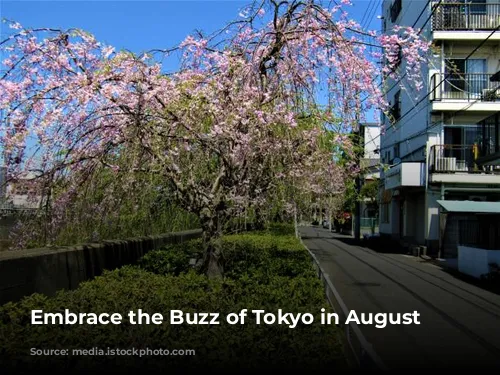 Embrace the Buzz of Tokyo in August