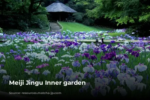 Meiji Jingu Inner garden