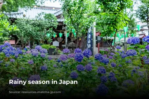 Rainy season in Japan