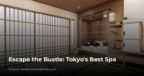 Escape the Bustle: Tokyo's Best Spa Hotels