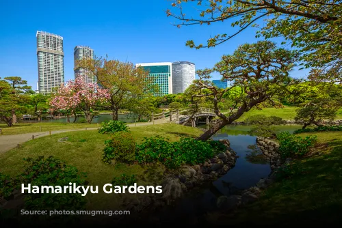 Hamarikyu Gardens