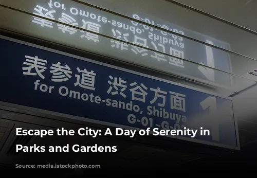 Escape the City: A Day of Serenity in Tokyo's Parks and Gardens