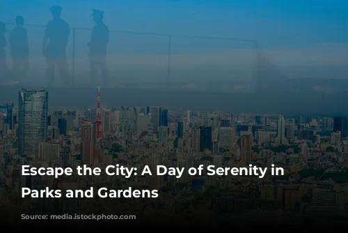 Escape the City: A Day of Serenity in Tokyo's Parks and Gardens