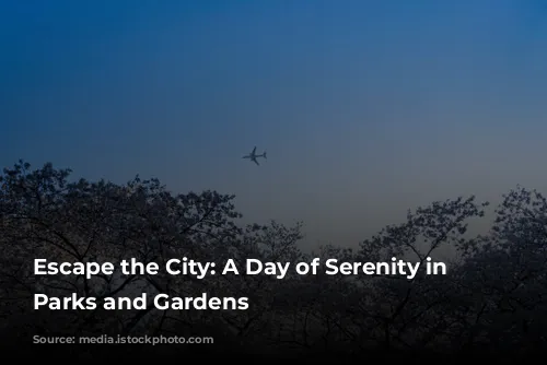 Escape the City: A Day of Serenity in Tokyo's Parks and Gardens