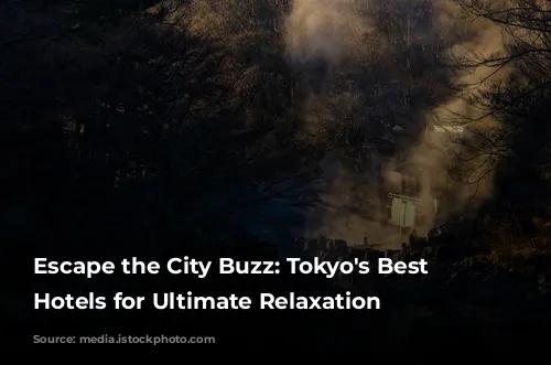 Escape the City Buzz: Tokyo's Best Spa Hotels for Ultimate Relaxation