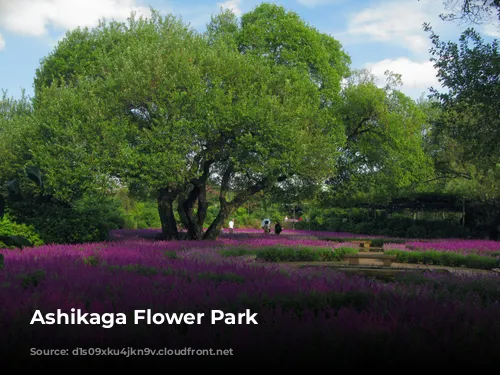 Ashikaga Flower Park