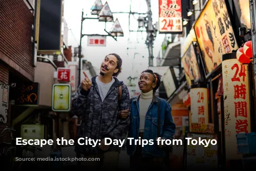 Escape the City: Day Trips from Tokyo