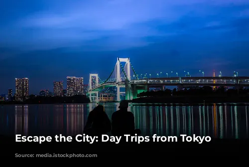 Escape the City: Day Trips from Tokyo