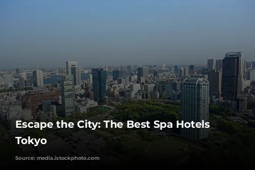 Escape the City: The Best Spa Hotels in Tokyo