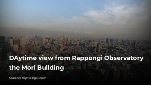 DAytime view from Rappongi Observatory in the Mori Building